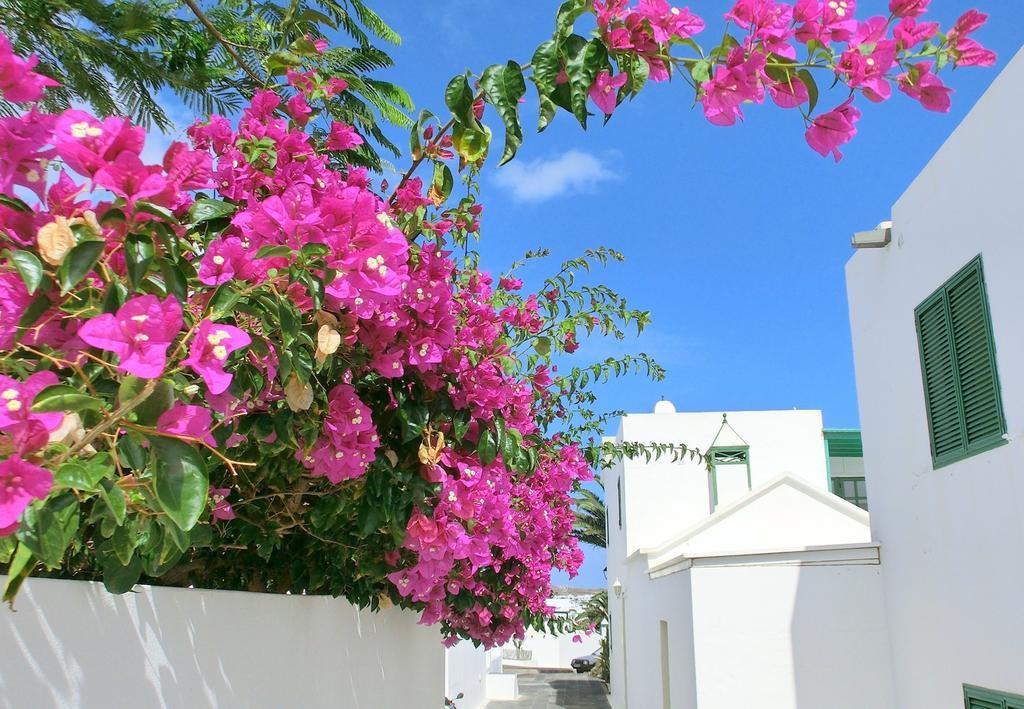 Villas Puerto Rubicon بلايا بلانكا المظهر الخارجي الصورة